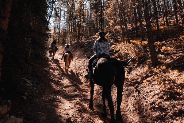 Riders on a Trail