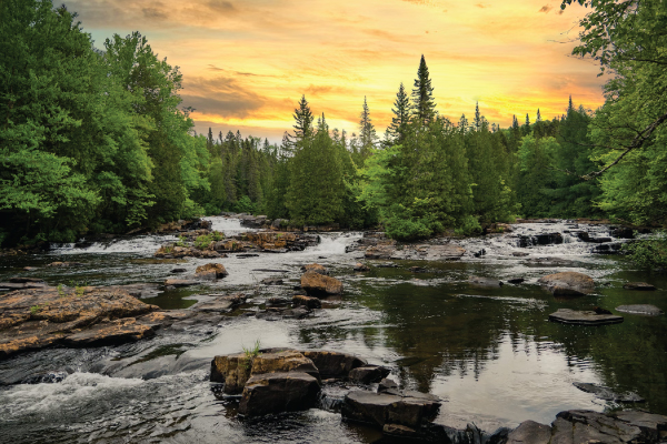 Mountain Stream