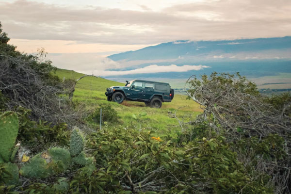 Jeep on an Adventure