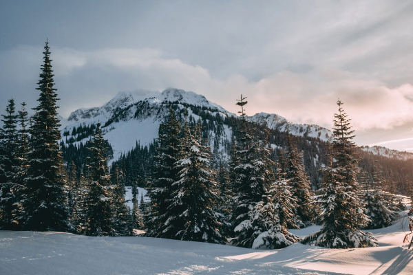 Whistler Blackcomb