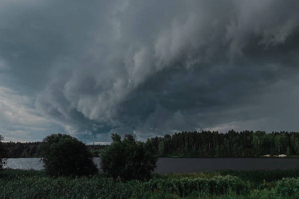 Forest Storm