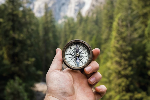 Compass in Woods