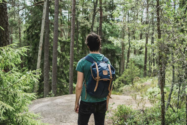 Hiking in Forest